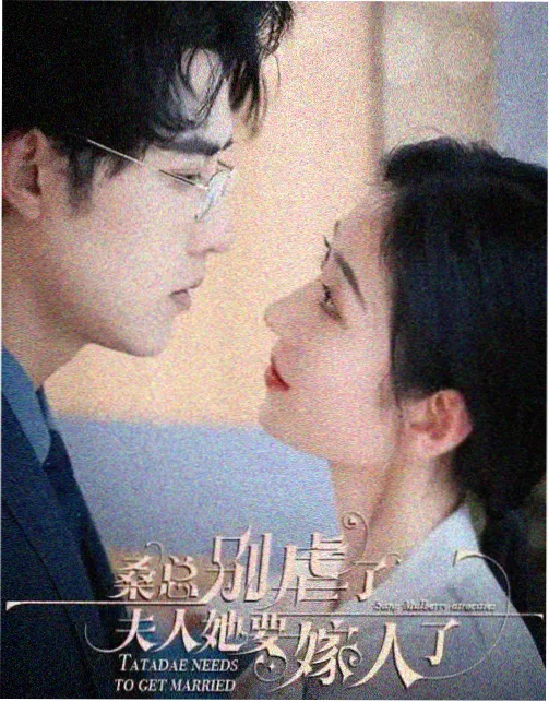 日常的奇迹 免费播放